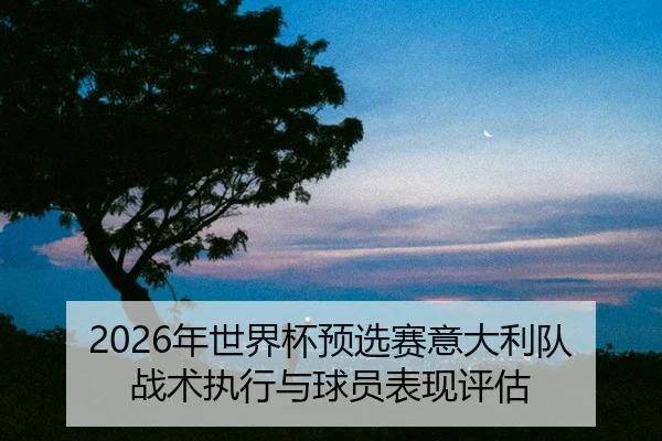 nian-shi-jie-bei-yu-xuan-sai-yi-da-li-dui-zhan-shu-zhi-xing-yu-qiu-yuan-biao-xian-ping-gu-2-581.jpg