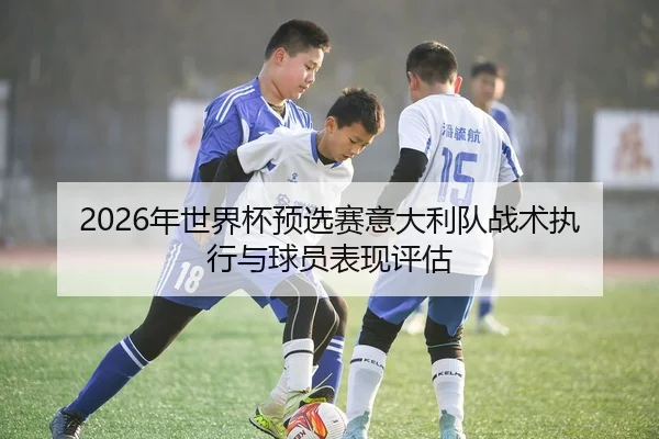 2026年世界杯预选赛意大利队战术执行与球员表现评估